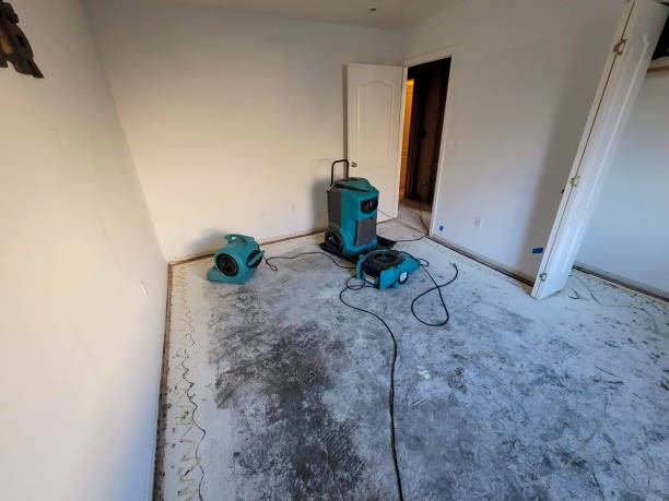 Best Basement water damage restoration  in Carbon Hill, AL